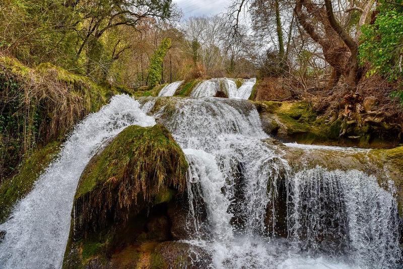 Waterfall in a forest
